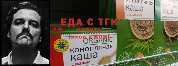 гашиш Бородино