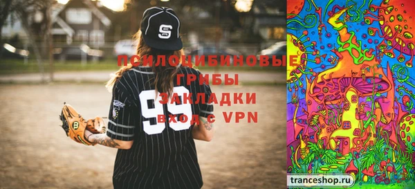 spice Рославль