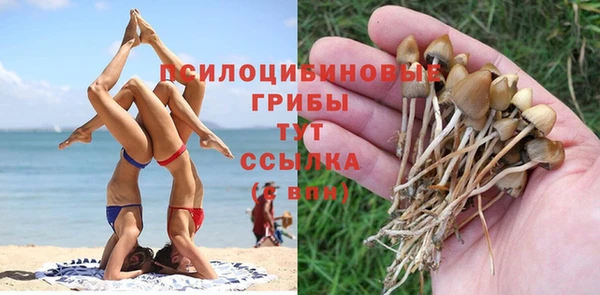 гашиш Бородино