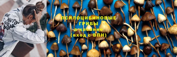 таблы Бронницы