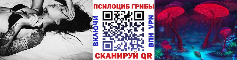 наркотики  Шумерля  Псилоцибиновые грибы Cubensis 